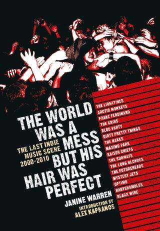Cover image for 9781915841261 - The World Was a Mess But His Hair Was Perfect
