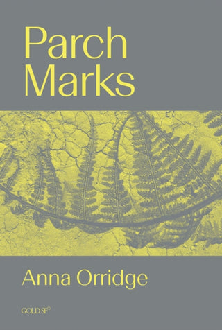 Cover image for 9781915983572 - Parch Marks