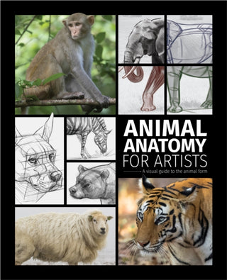 Cover image for 9781915992000 - Animal Anatomy for Artists