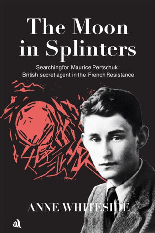 Cover image for 9781916556744 - The Moon in Splinters