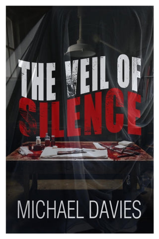 Cover image for 9781916732490 - The Veil of Silence