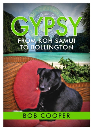 Cover image for 9781916732513 - Gypsy - From Koh Samui to Bollington