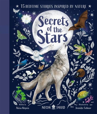 Cover image for 9781916745056 - Secrets of the Stars
