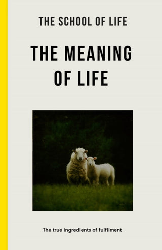 Cover image for 9781916753334 - The Meaning of Life