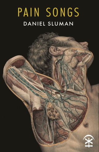 Cover image for 9781916760387 - Pain Songs