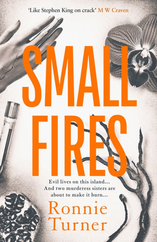 Cover image for 9781916788473 - Small Fires