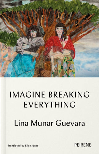 Cover image for 9781916806122 - Imagine Breaking Everything