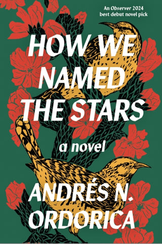 Cover image for 9781916812079 - How We Named the Stars