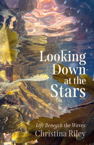 Supplemental image for 9781916812550 - Looking Down at the Stars