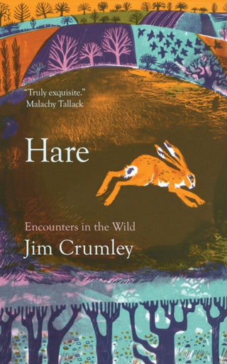 Cover image for 9781916812659 - Hare