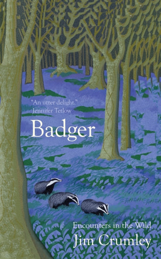 Cover image for 9781916812673 - Badger