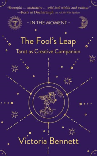 Cover image for 9781916812734 - The Fool’s Leap
