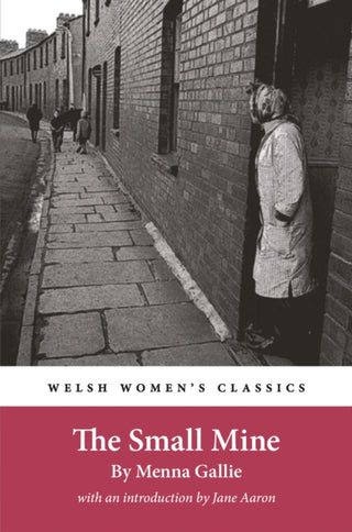 Cover image for 9781916821163 - The Small Mine