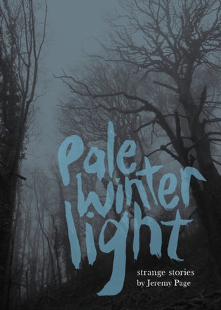 Cover image for 9781916905191 - Pale Winter Light
