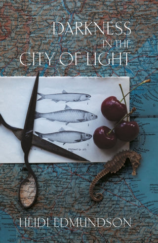 Cover image for 9781917000024 - Darkness in the City of Light
