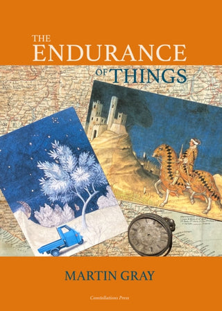 Cover image for 9781917000062 - The Endurance of Things