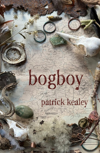 Cover image for 9781917000086 - Bogboy