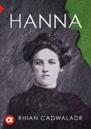 Cover image for 9781917006019 - Cyfres Amdani: Hanna