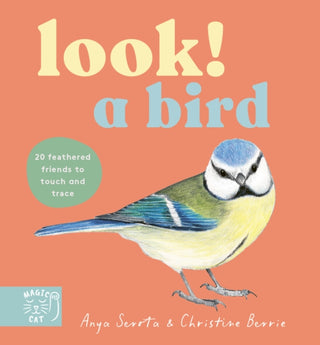 Cover image for 9781917044622 - Look! A Bird!