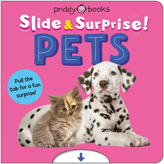 Cover image for 9781917069137 - Pets (Slide & Surprise!)