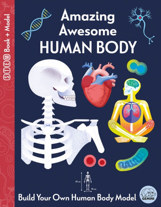 Cover image for 9781917082679 - Amazing Awesome Human Body