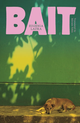 Cover image for 9781917092661 - Bait