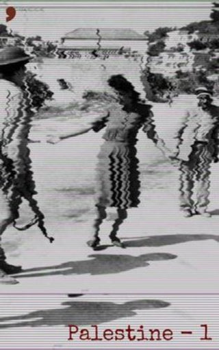 Cover image for 9781917093026 - Palestine -1