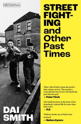 Supplemental image for 9781917140720 - Street Fighting and Other Past Times