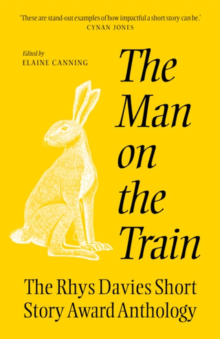 Cover image for 9781917140898 - The The Man on the Train