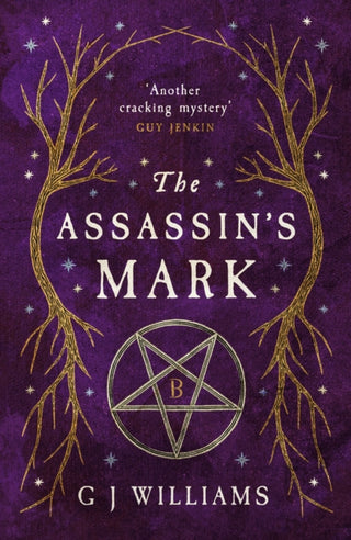 Cover image for 9781917163040 - The Assassin's Mark