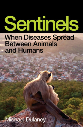 Cover image for 9781917189330 - Sentinels