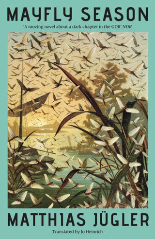 Cover image for 9781917378154 - Mayfly Season