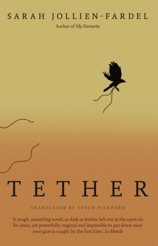 Cover image for 9781917378307 - Tether