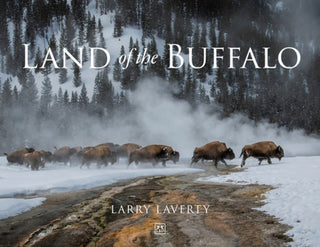 Cover image for 9781917391894 - Land of the Buffalo