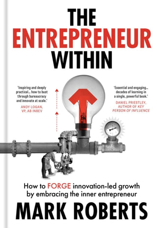 Supplemental image for 9781917458092 - The Entrepreneur Within