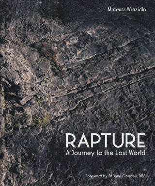 Cover image for 9781917458832 - Rapture