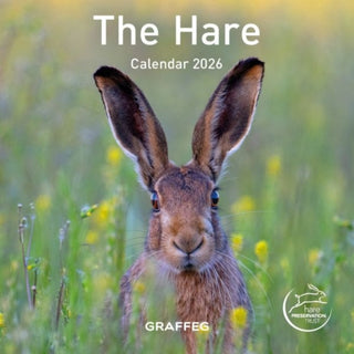 Cover image for 9781917467216 - The Hare Calendar 2026