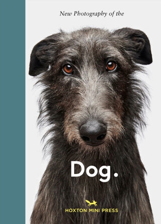 Cover image for 9781917719490 - New Photography of the Dog