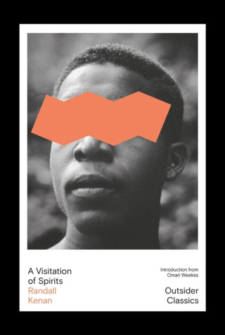 Cover image for 9781917792042 - A Visitation of Spirits