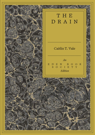 Cover image for 9781917792684 - The Drain