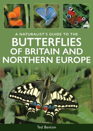Cover image for 9781917879057 - A Naturalist's Guide to the Butterflies of Britain & Northern Europe