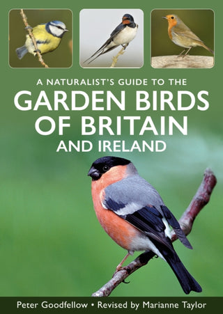 Cover image for 9781917879064 - A Naturalist's Guide to Garden Birds of Britain & Ireland