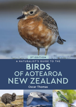 Cover image for 9781917879071 - A Naturalist’s Guide to the Birds of Aotearoa New Zealand