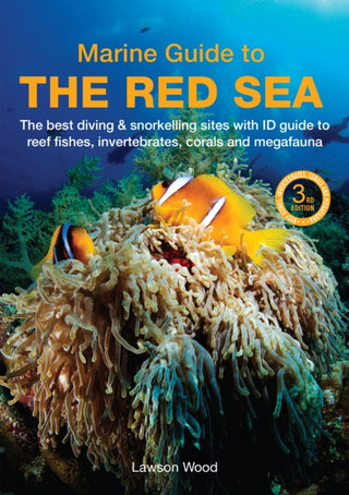 Cover image for 9781917879170 - A Marine Guide to the Red Sea