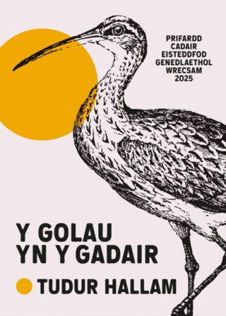 Cover image for 9781918015041 - Y Golau yn y Gadair