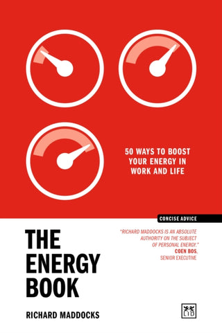 Cover image for 9781918215311 - The Energy Book