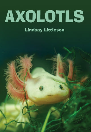 Cover image for 9781918816013 - Axolotls