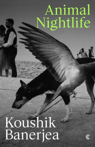 Cover image for 9781919184722 - Animal Nightlife