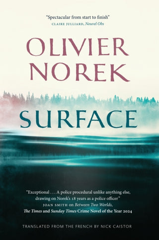 Cover image for 9781919503332 - Surface