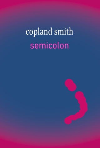 Cover image for 9781919520513 - Semicolon